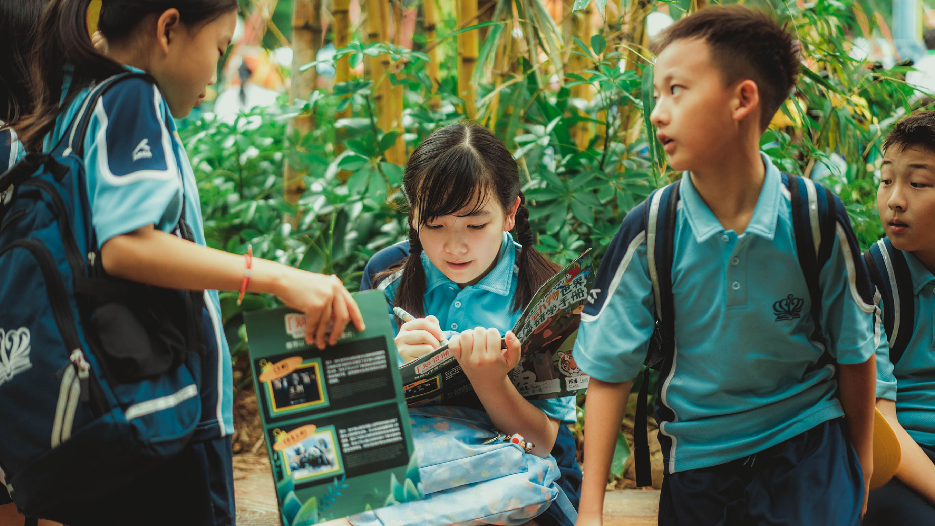 小学研学活动回顾 - trip activities